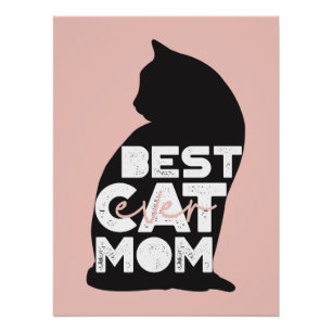 Grappige Roze Moederdag Beste Kat Moeder Ooit Perfect Poster
