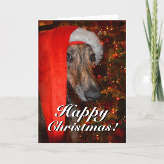 Grappige Santa Dog Lurcher Greyhound Kerstmis Feestdagen Kaart