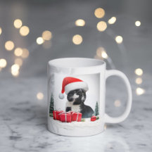 Grappige Sarcastische Kat Santas Pet Kerst