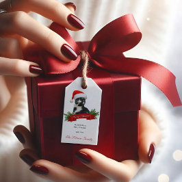 Grappige Sarcastische Kat Santas Pet Kerstcadeau T Cadeaulabel