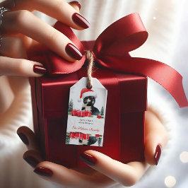 Grappige Sarcastische Kat Santas Pet Kerstcadeau T Cadeaulabel