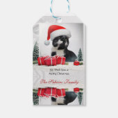 Grappige Sarcastische Kat Santas Pet Kerstcadeau T Cadeaulabel (Voorkant)