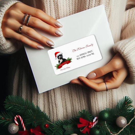 Grappige Sarcastische Kat Santas Pet Kersttoespraa Etiket