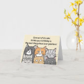 Grappige Sassy Kattenliefhebber Kattenverjaardag Kaart (Gele Bloem)