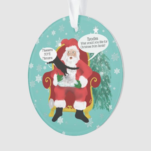 Grappige Scaredy Cat Bezoeken Santa Custom Kerstmi Ornament (voorkant)
