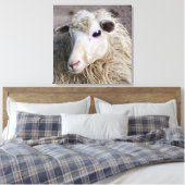Grappige schapen canvas afdruk (Insitu (Slaapkamer))