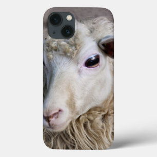 Grappige schapen Case-Mate iPhone case