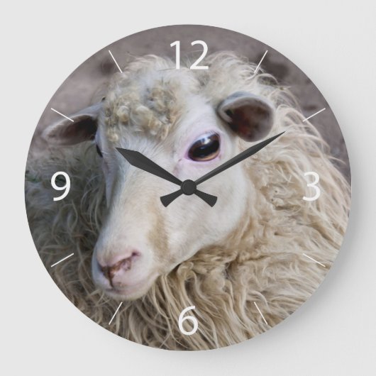 Grappige schapen grote klok (Voorkant)
