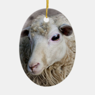 Grappige schapen keramisch ornament