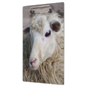 Grappige schapen klembord (Links)