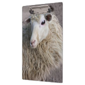 Grappige schapen klembord (Links)