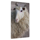 Grappige schapen klembord (Rechts)