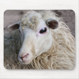 Grappige schapen muismat