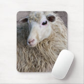 Grappige schapen muismat (Met muis)