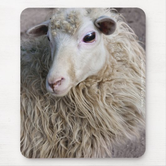 Grappige schapen muismat (Voorkant)