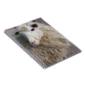 Grappige schapen notitieboek (Rechterzijde)
