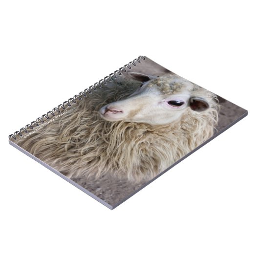 Grappige schapen notitieboek (Linkerzijde)
