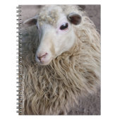 Grappige schapen notitieboek (Voorkant)