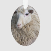 Grappige schapen ornament (achterkant)