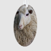 Grappige schapen ornament (voorkant)