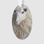 Grappige schapen ornament (voorkant)