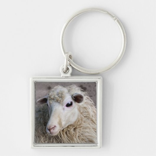 Grappige schapen sleutelhanger (Voorkant)