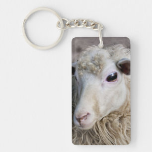 Grappige schapen sleutelhanger
