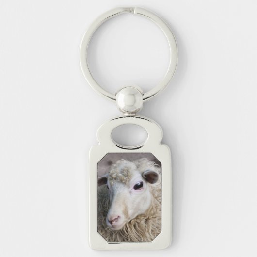 Grappige schapen sleutelhanger (Voorkant)