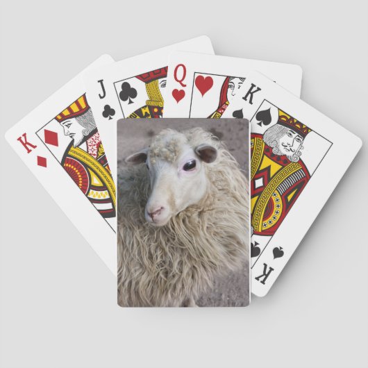 Grappige schapen speelkaarten (Achterkant)