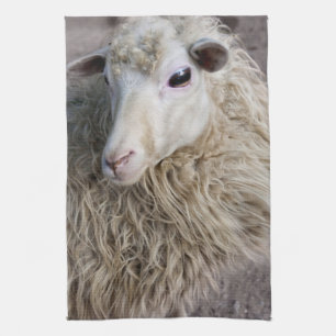 Grappige schapen theedoek