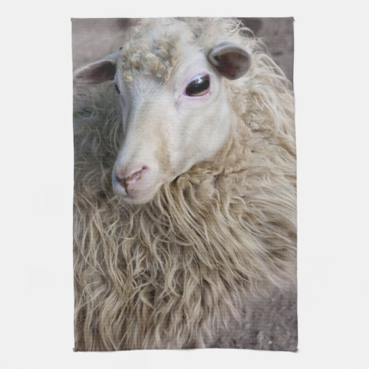 Grappige schapen theedoek (Verticaal)