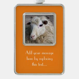 Grappige schapen verzilverd omlijst ornament