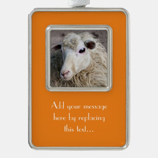 Grappige schapen verzilverd omlijst ornament (Voorkant)