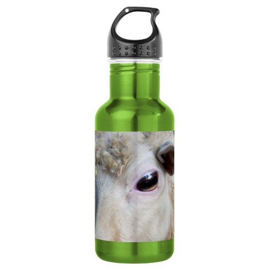 Grappige schapen waterfles  (Voorkant)