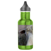 Grappige schapen waterfles  (Links)