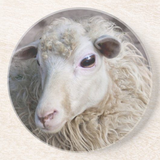 Grappige schapen zandsteen onderzetter (Voorkant)