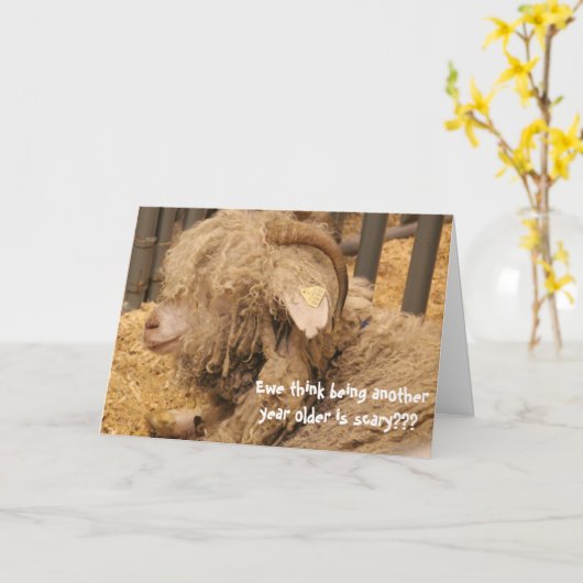 Grappige schapenverjaardag, oude, slechte haardag! kaart (Gele Bloem)