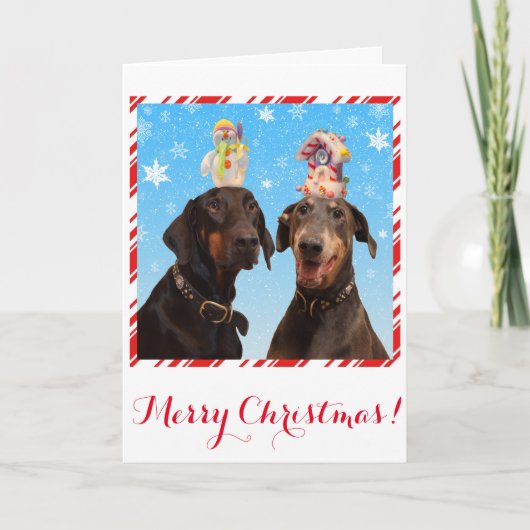Grappige, schattige Doberman hond kerstkaart Feestdagen Kaart (Voorkant)