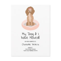 Grappige schattige girly poedel hond illustratie b
