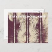 Grappige Schattige rat in de gevangenis Briefkaart (Voorkant / Achterkant)