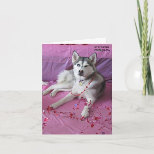 Grappige, schattige Siberische Husky Valentijnsdag Kaart (Voorkant)