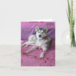 Grappige, schattige Siberische Husky Valentijnsdag Kaart