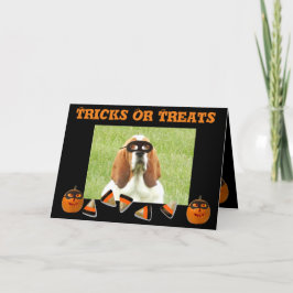 Grappige & Schattigee Basset Hound & Pumpkin Hallo Kaart