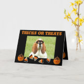 Grappige & Schattigee Basset Hound & Pumpkin Hallo Kaart (Gele Bloem)