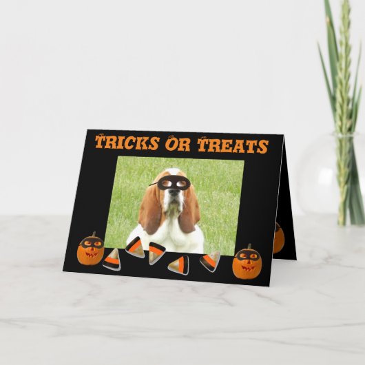 Grappige & Schattigee Basset Hound & Pumpkin Hallo Kaart (Voorkant)