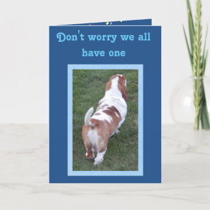 Grappige & Schattigee Basset Hound Verjaardag Kaar Kaart