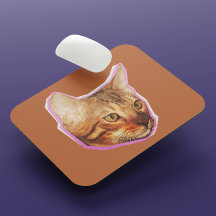 Grappige Schattigee Cat Mixed Media Collage