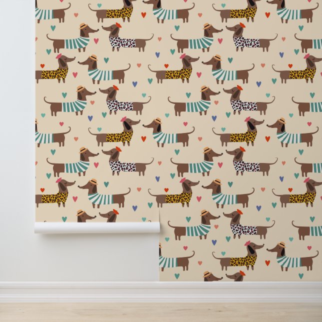 Grappige Schattigee Dachshund Dogs Behang (Applicatie)