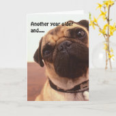 Grappige Schattigee Humorous Pug Dog Verjaardag Ka Kaart (Gele Bloem)