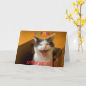 Grappige Schattigee kat in een doos Verjaardag Wen Kaart (Gele Bloem)